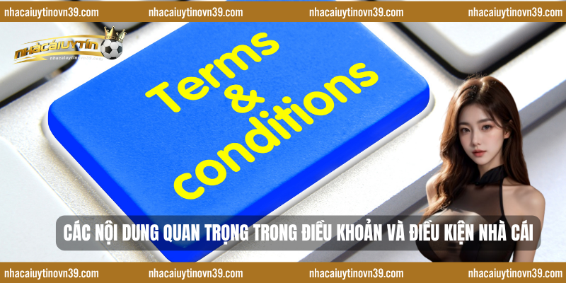 Các nội dung quan trọng trong điều khoản và điều kiện nhà cái