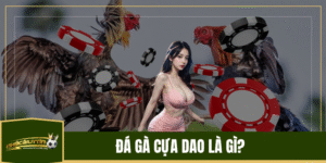 Đá gà cựa dao là gì?