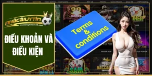 Điều khoản và điều kiện