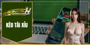 Kèo tài xỉu