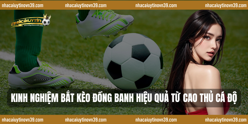 Kinh nghiệm bắt kèo đồng banh hiệu quả từ cao thủ cá độ
