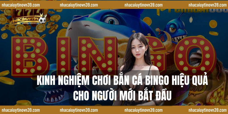 Kinh nghiệm chơi bắn cá Bingo hiệu quả cho người mới bắt đầu