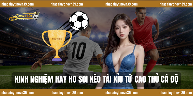 Kinh nghiệm hay ho soi kèo tài xỉu từ cao thủ cá độ