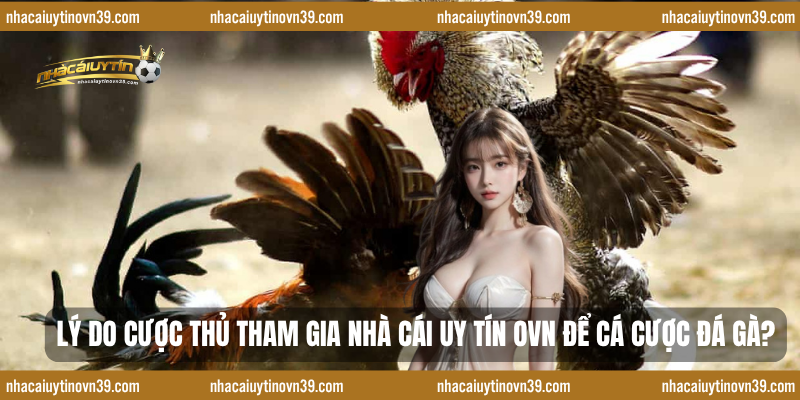 Lý do cược thủ tham gia nhà cái uy tín ovn để t cá cược đá gà?