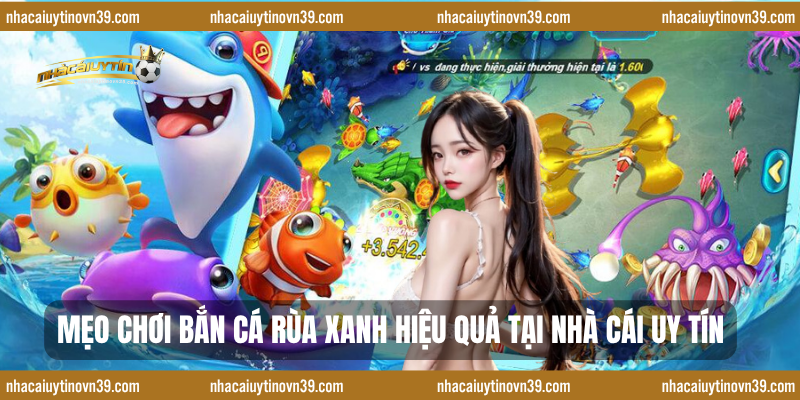 Mẹo chơi bắn cá rùa xanh hiệu quả tại nhà cái uy tín