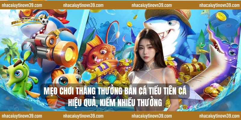 Mẹo chơi thắng thưởng bắn cá Tiểu Tiên Cá hiệu quả, kiếm nhiều thưởng