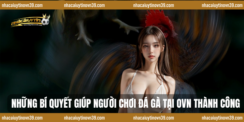 Những bí quyết giúp người chơi đá gà tại ovn thành công