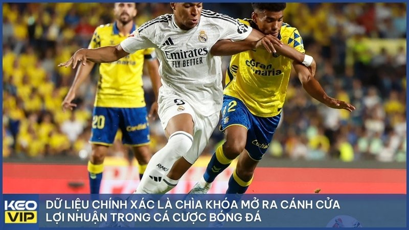 Dữ liệu chính xác là chìa khóa mở ra cánh cửa lợi nhuận trong cá cược bóng đá.