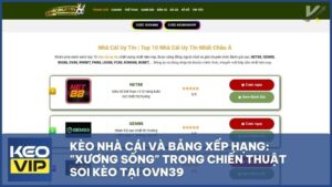 keo nha cai ovn39 - Kèo Nhà Cái Và Bảng Xếp Hạng: "Xương Sống" Trong Chiến Thuật Soi Kèo Tại OVN39